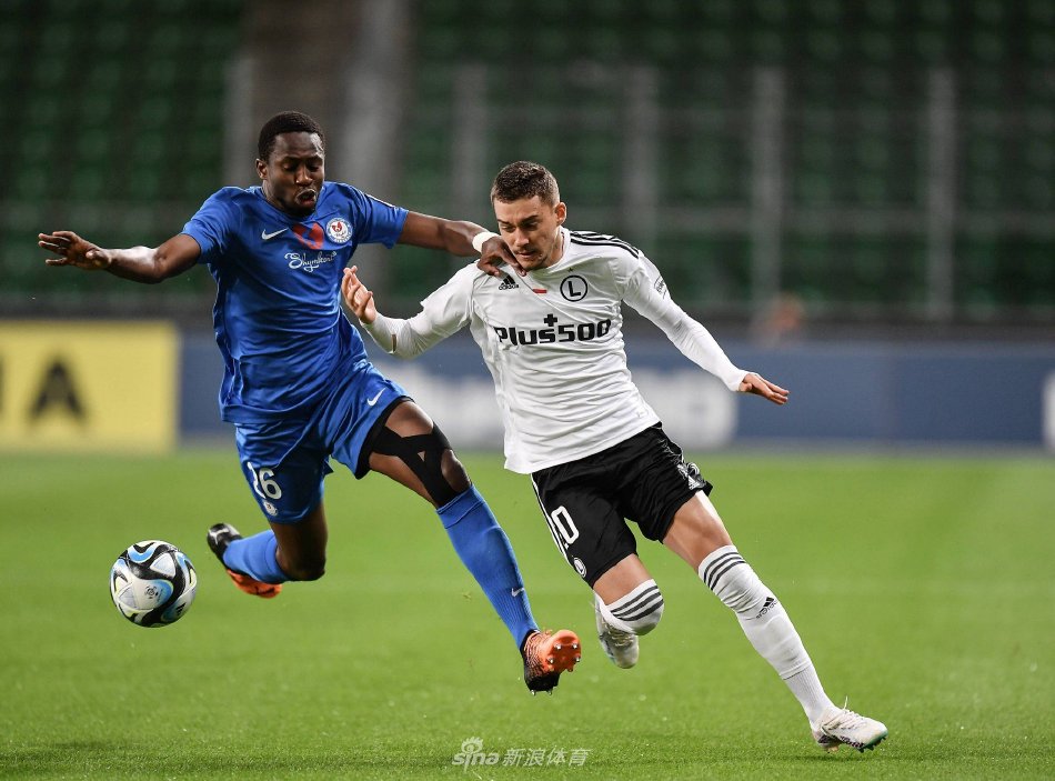 试图引进这 试图引进这