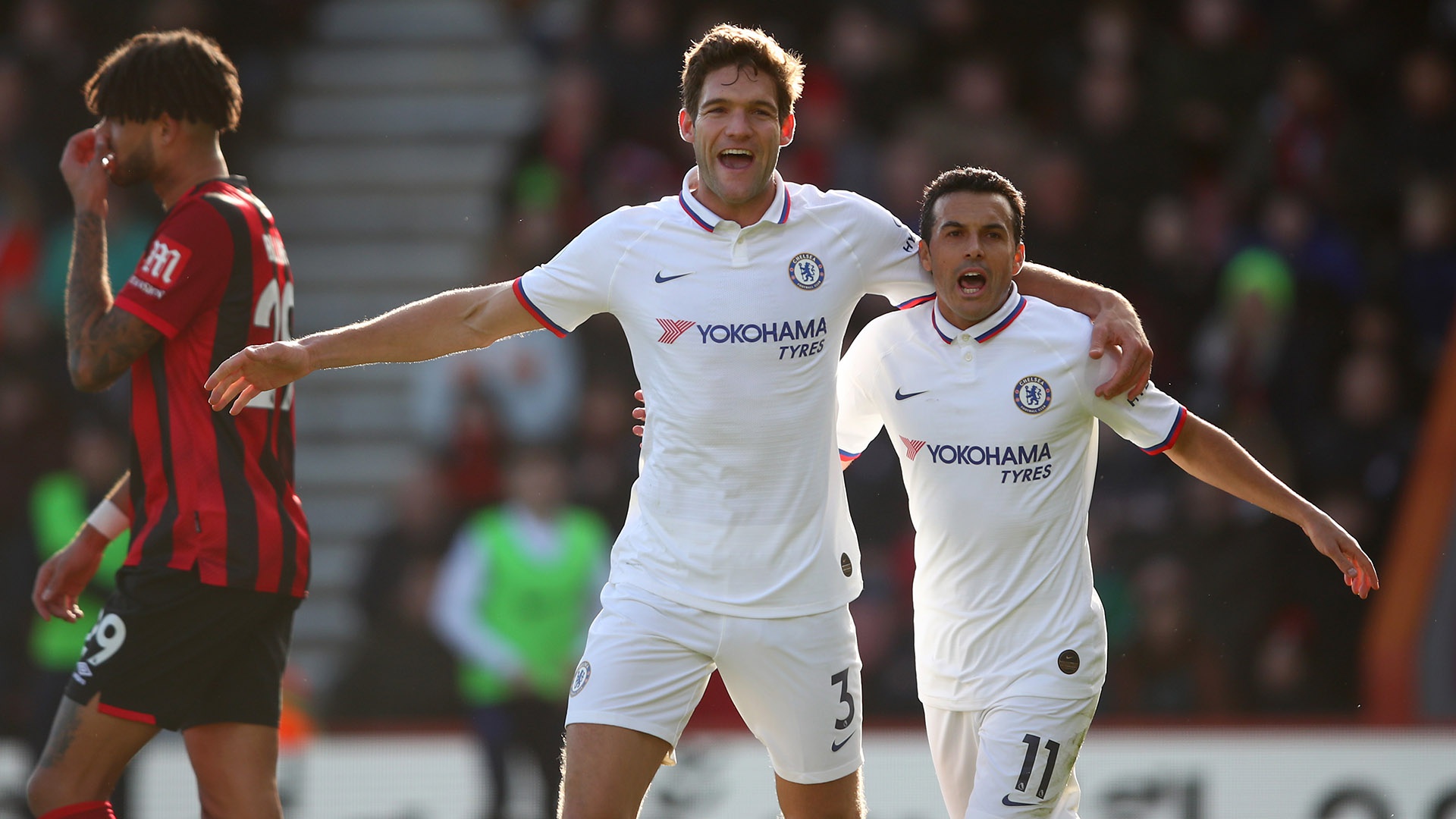 这种全面的 这种全面的